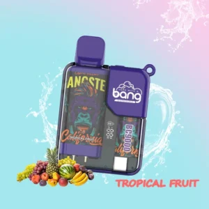 BANG Pyne 9000 Puffs Mesh Coil Прямая оптовая продажа с фабрики Высококачественные одноразовые вейпы с несколькими вкусами Никотин 0% 2% 3% 5%5