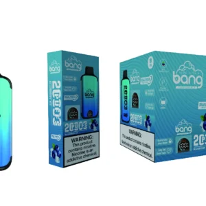Acquista sfusi Bang Monouso Vapes 20000: la tua guida definitiva
