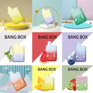Bang BC5000 Box 5000 затяжек Одноразовые никотиновые вейпы 0% 2% 3% 5% Сделано в Китае Оптовые оптовые заказы оригинального качества Несколько вкусов Услуги OEM10