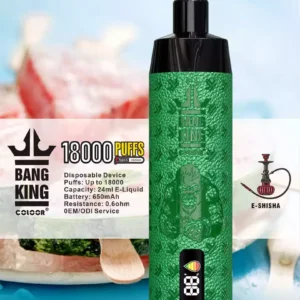 Bang King Shisha 18000 Puffs DTL Vízipipa eldobható Vape kijelzővel 18K Puff Vape Pen Elektronikus Cigaretta Nagyker Vape Pen Tömeges Vásárlás 12 ízű Big Cloud Type C 4
