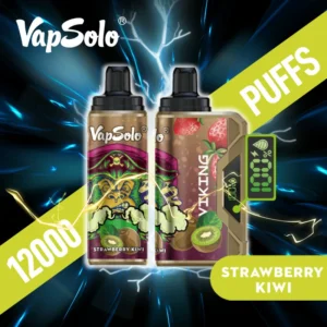Vapsolo Viking 12000 Soffi 3