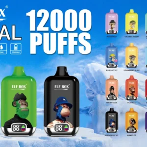 ELF BOX Digital 12000 Puffar