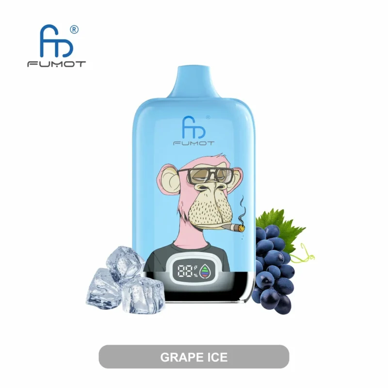 RandM Digital Box 12000 Puffs Uppladdningsbar Vape Pen Låg Nikotin Partihandel Bulk Köp 13