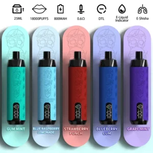 Vapes met een hoog aantal trekjes aanbieden in de wegwerpvapeswinkel