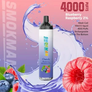 Smokman Cherub 4000 Puffs Одноразовые вейпы Массовые поставки напрямую с завода Несколько вкусов на выбор 5% с низким содержанием никотина