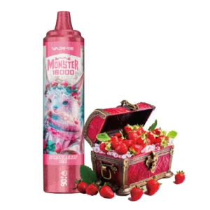 VAPME MONSTER 16000 Puffs Original Display LED Edição 26ml 850mAh Tipo C Original Atacado Caneta Vape Descartável 7