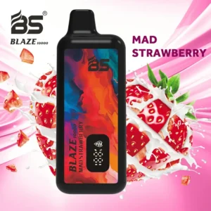Velkoobchod BREZE BS BLAZE 10000 tahů Jednorázové vape pero 2024 Nejprodávanější s obrazovkou Mesh Coil a vícenásobným nikotinem 0 2 5 Možnosti 10