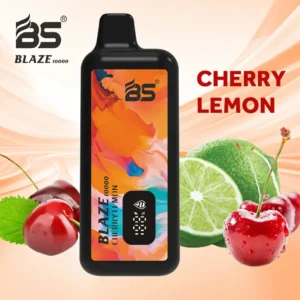 Velkoobchod BREZE BS BLAZE 10000 tahů Jednorázové vape pero 2024 Nejprodávanější s obrazovkou Mesh Coil a vícenásobným nikotinem 0 2 5 Možnosti 5