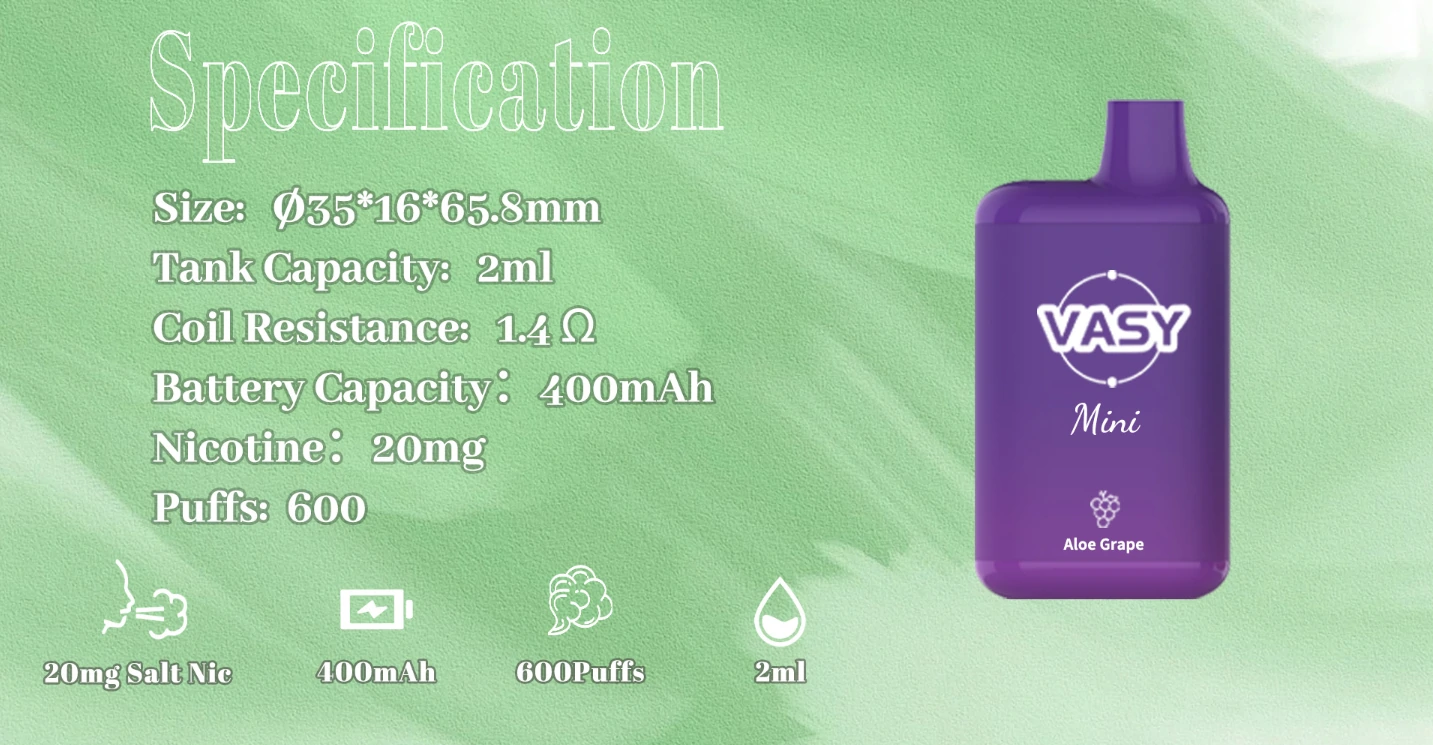 Engros VASY Mini 600 Puffs Engangs Vape Pen 20mg TPD Godkendt direkte fra Kina Fabrik Nikotin 2% 5% (9)