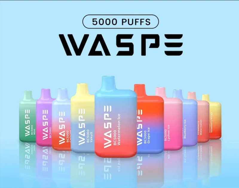 Waspe 5000 Puffs Mesh Coil Disposable Vape