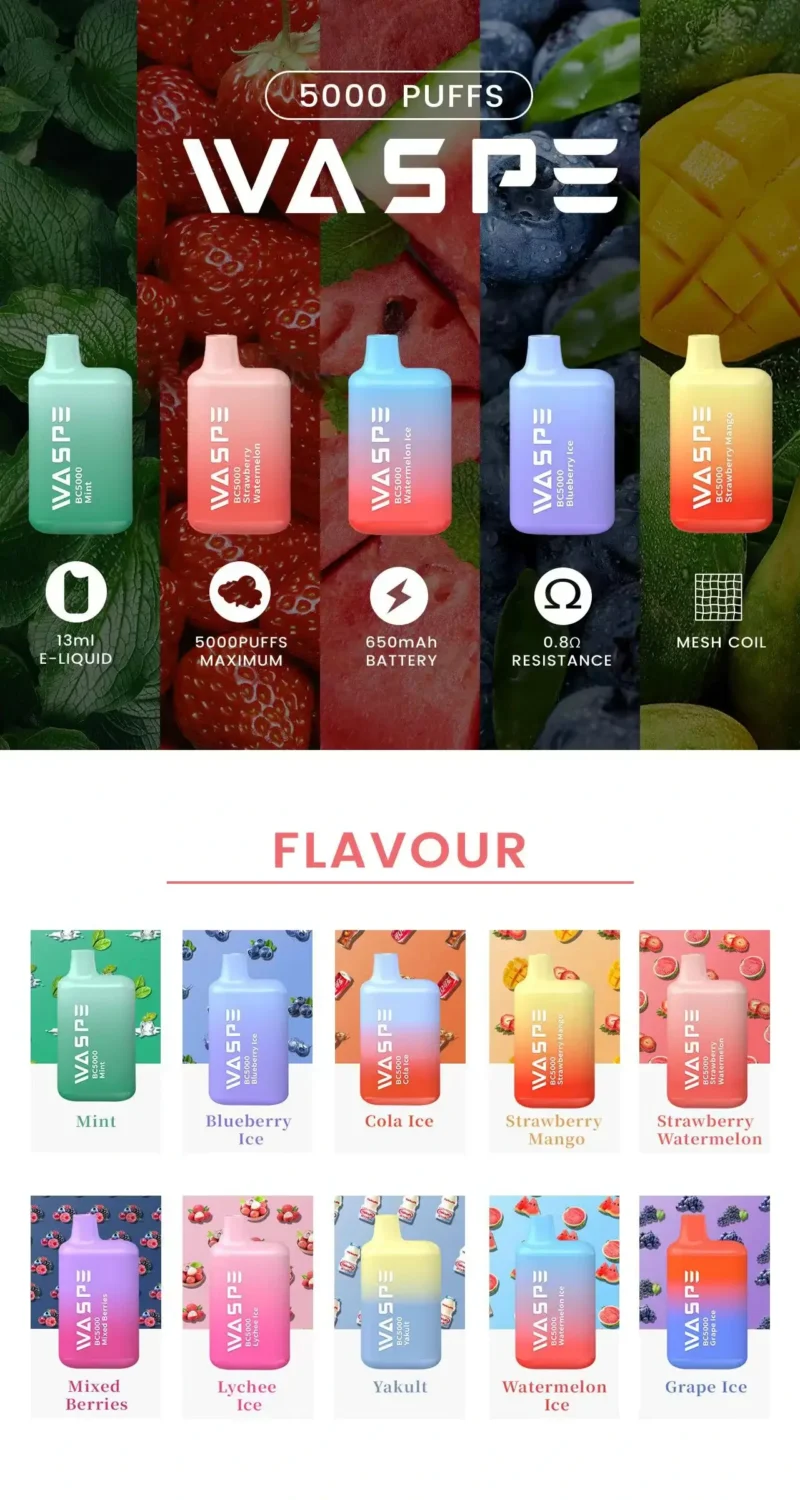 Groothandel WASPE 5000 PUFFS Wegwerp Vape-pen met meerdere nicotine 0 2 3 5 niveaus 13 ml Capaciteit Mesh Coil Type C Snelle verzending 4