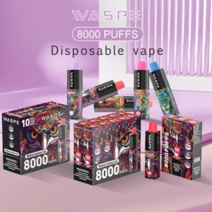 Wholesale Waspe 8000 Puffs Vape-penna för engångsbruk med flera nikotin 0% 2% 3% 5% Nivåer 16ml Kapacitet Typ-C uppladdningsbart batteri (2)