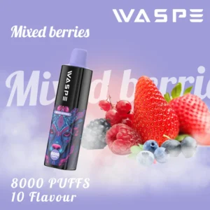 Wholesale Waspe 8000 Puffs Disponibel Vape Penna med flera nikotin 0 2 3 5 Nivåer 16ml Kapacitet Typ C Uppladdningsbart batteri 9