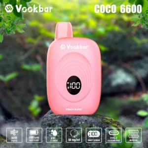 Высокое качество Vookbar COCO 6600 Puffs Цифровой смарт-экран Одноразовые вейпы оптом напрямую с завода Несколько вкусов