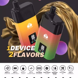 CLOUD NINE D19P 9000 Puffs Disposable Vapes Wholesale Purchase with a Wide Range of Flavors Rechargeable Battery Nicotine 3%12