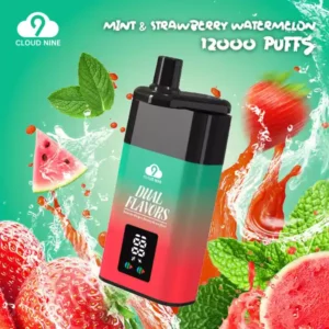 CLOUD NINE D19P 9000 Puff-uri Vape de unică folosință cu ridicata 3 Nicotină Proaspătă 10 Arome Vrac Cumpărați Livrare de fabrică originală 10