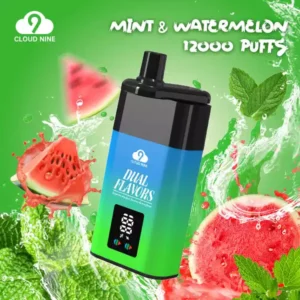 CLOUD NINE D19P 9000 Puffs Vape de unică folosință cu ridicata 3 Nicotină proaspătă 10 arome în vrac Cumpărați livrări originale din fabrică 5