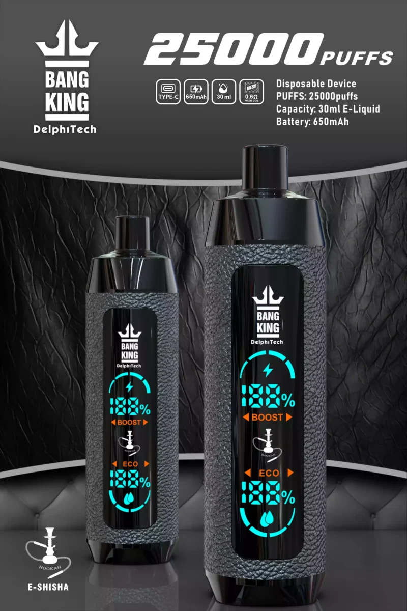 Eredeti Bang King 25000 Puffs Bőr tok Eldobható Vapes Made in China OEM ODM nagykereskedés többféle ízesítéssel 0 2 3 5 8 méretezett