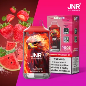 Get JNR Falcon 16000 Puffs Dual Mesh Coil Disposable Vapes Wholesale Direct from Factory Multiple 20 Flavors 0% 2% 5% Nicotine (1)