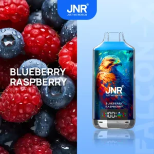 JNR Falcon X 18000 Puffs 950mAh Dual Mesh Coil Rechargeable Battery New Wholesale Disposable Vape Original Factory Bulk Multiple Flavors 0% 2% 5% Nicotine (20)