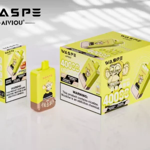 Top Rated WASPE Double Flavor 40000 PUFFS Disposable Vape with LED Display and 36ml E liquid Wholesale Disposable Vape 30