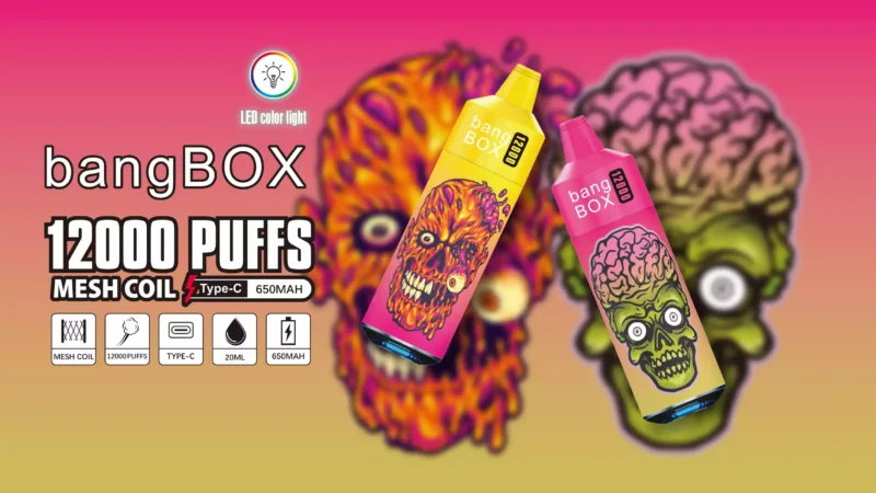 Bang BOX 12000 Puffs Ultra Light 84g Body With A Compact 137mm Design (11)