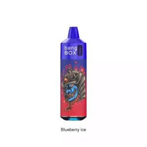 Bang BOX 12000 Puffs Ultra Light 84g Body With A Compact 137mm Design 4