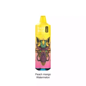 Bang BOX 12000 Puffs Ultra Light 84g Body With A Compact 137mm Design 7