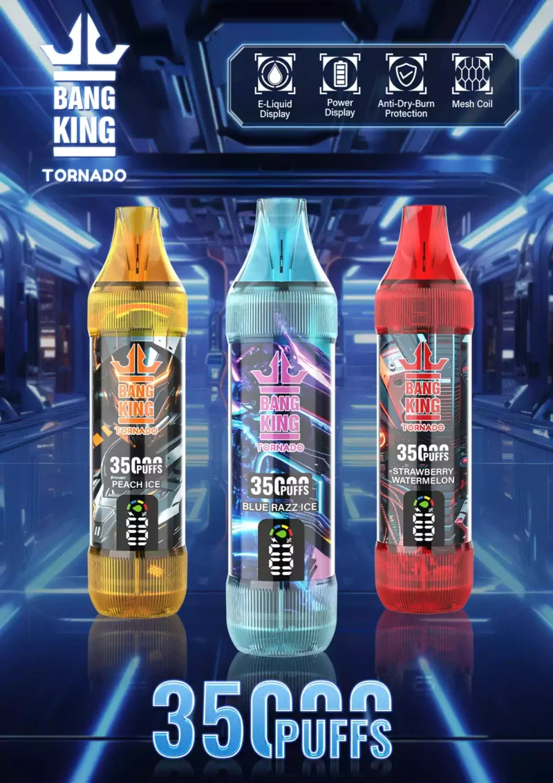 Hot Selling BANG KING 35000 Puffs Disposable Vape With Multiple Nicotine Strengths 23ml E Liquid 1000mAh Battery 0.6Ω Resistance Type C Port Direct From Manufacturer (12)