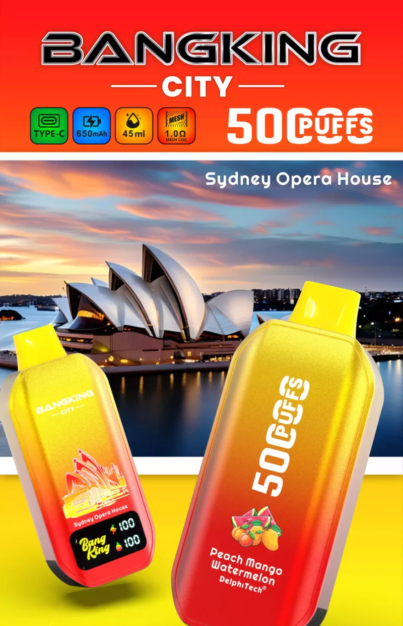 Value For Money BANG KING 50000 CITY BK5 CT Disposable Vape With 0 2 3 5 Nicotine Type C Charging 650mAh Battery 45ml E Liquid Bulk Purchase 10 scaled
