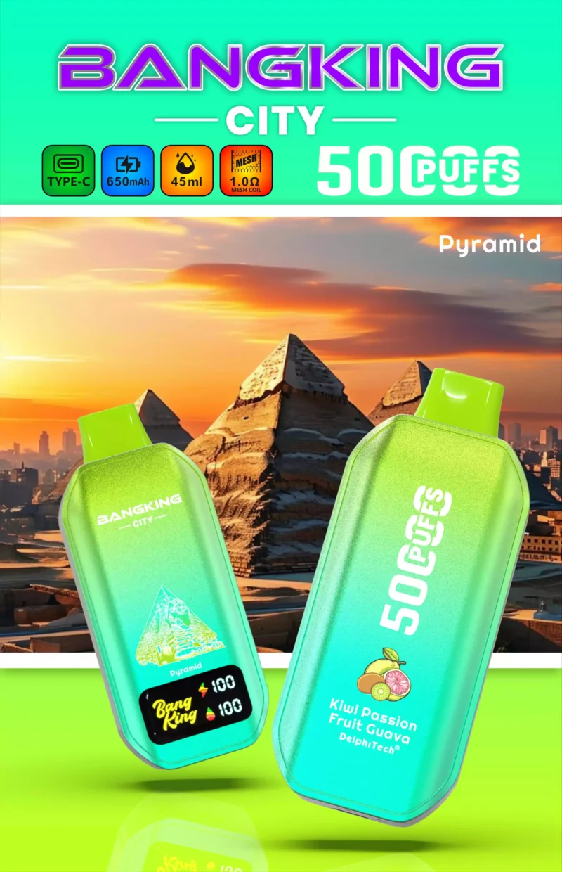 Value For Money BANG KING 50000 CITY BK5 CT Disposable Vape With 0 2 3 5 Nicotine Type C Charging 650mAh Battery 45ml E Liquid Bulk Purchase 11 scaled